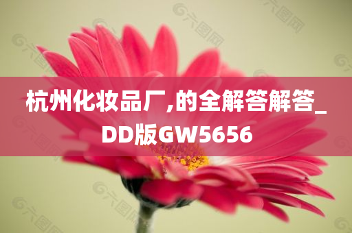 杭州化妆品厂,的全解答解答_DD版GW5656