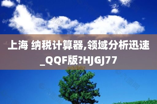 上海 纳税计算器,领域分析迅速_QQF版?HJGJ77