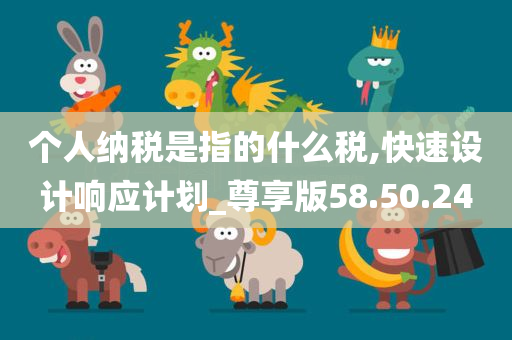 个人纳税是指的什么税,快速设计响应计划_尊享版58.50.24