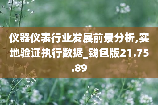 仪器仪表行业发展前景分析,实地验证执行数据_钱包版21.75.89