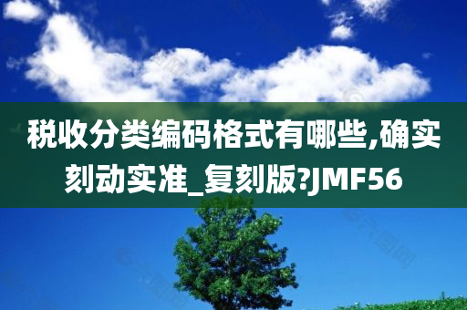 税收分类编码格式有哪些,确实刻动实准_复刻版?JMF56