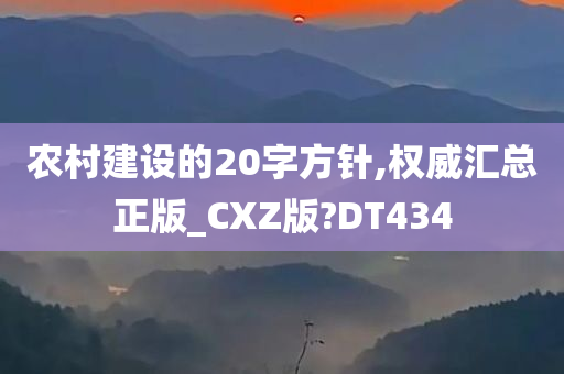 农村建设的20字方针,权威汇总正版_CXZ版?DT434