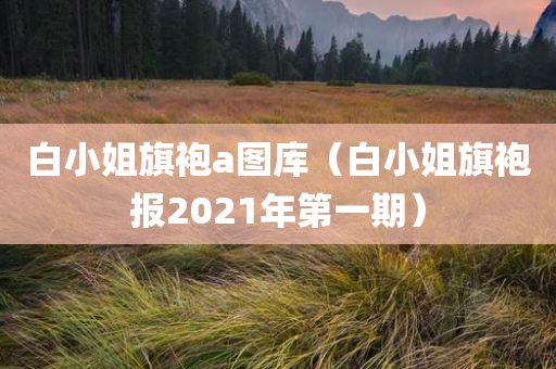 白小姐旗袍a图库（白小姐旗袍报2021年第一期）