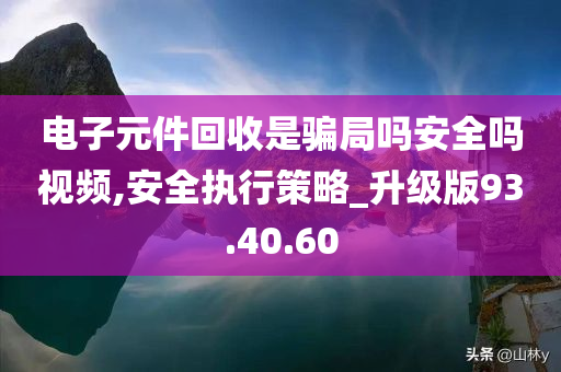 电子元件回收是骗局吗安全吗视频,安全执行策略_升级版93.40.60