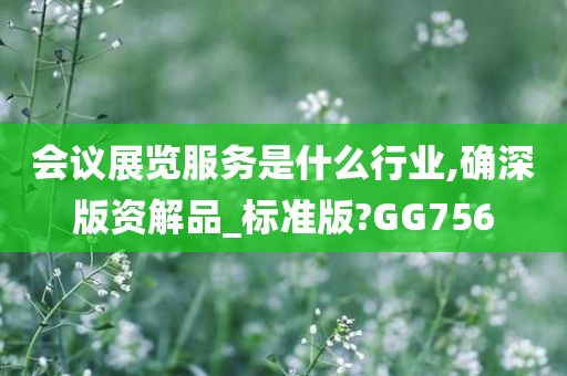 会议展览服务是什么行业,确深版资解品_标准版?GG756