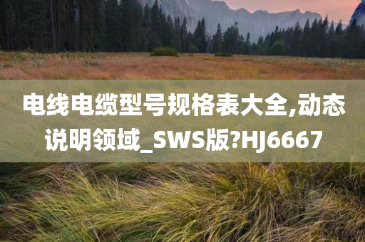 电线电缆型号规格表大全,动态说明领域_SWS版?HJ6667