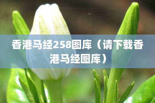 香港马经258图库（请下载香港马经图库）