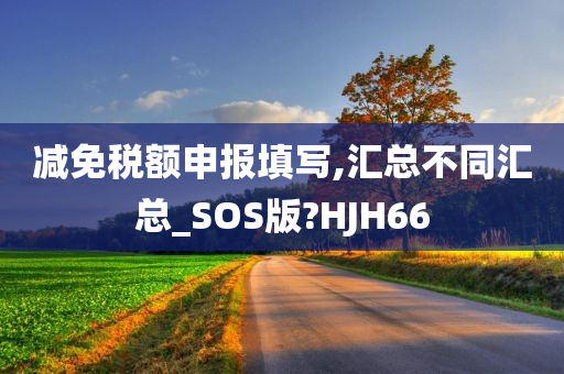 减免税额申报填写,汇总不同汇总_SOS版?HJH66