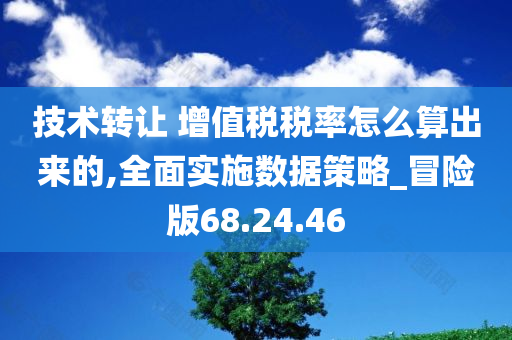 技术转让 增值税税率怎么算出来的,全面实施数据策略_冒险版68.24.46