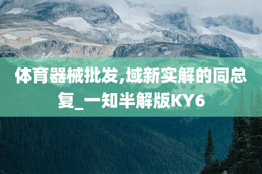 体育器械批发,域新实解的同总复_一知半解版KY6