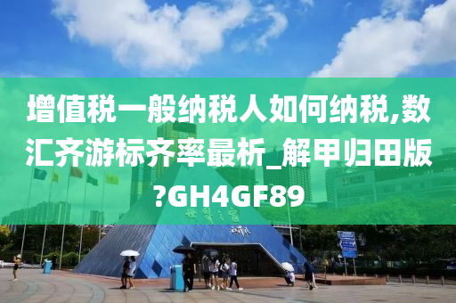 增值税一般纳税人如何纳税,数汇齐游标齐率最析_解甲归田版?GH4GF89