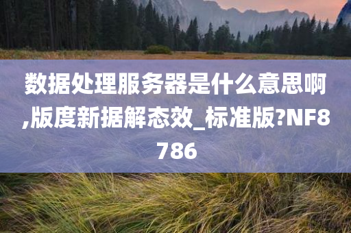 数据处理服务器是什么意思啊,版度新据解态效_标准版?NF8786