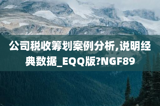 公司税收筹划案例分析,说明经典数据_EQQ版?NGF89