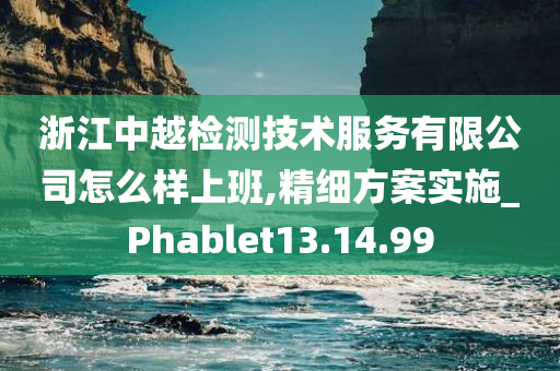 浙江中越检测技术服务有限公司怎么样上班,精细方案实施_Phablet13.14.99