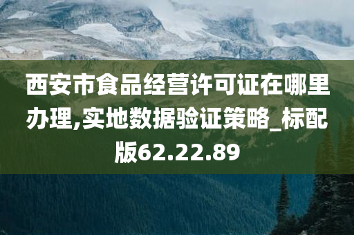 西安市食品经营许可证在哪里办理,实地数据验证策略_标配版62.22.89