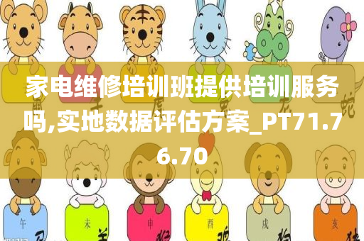 家电维修培训班提供培训服务吗,实地数据评估方案_PT71.76.70