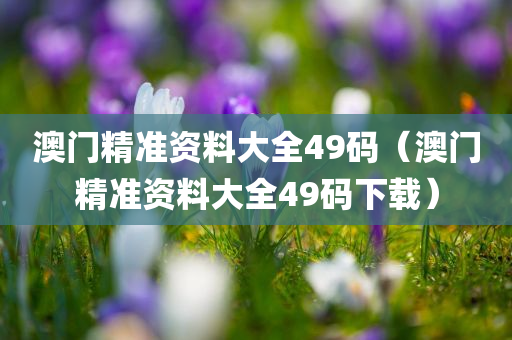 澳门精准资料大全49码（澳门精准资料大全49码下载）