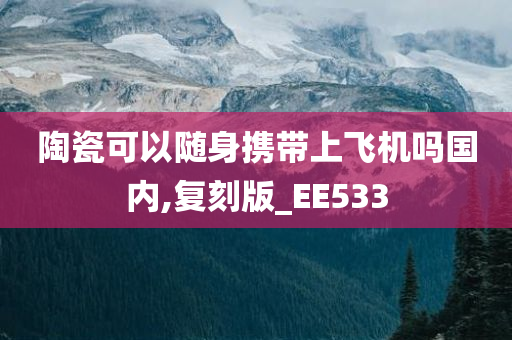 陶瓷可以随身携带上飞机吗国内,复刻版_EE533