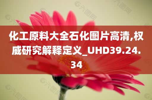 化工原料大全石化图片高清,权威研究解释定义_UHD39.24.34