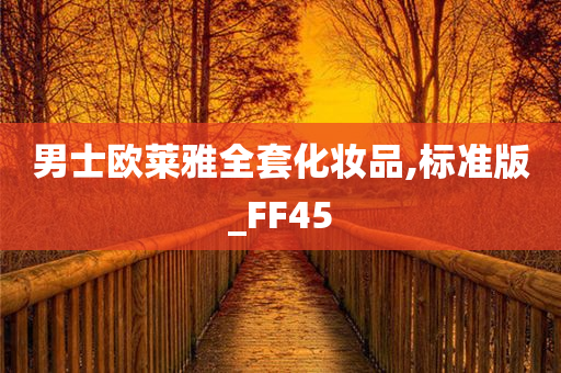 男士欧莱雅全套化妆品,标准版_FF45