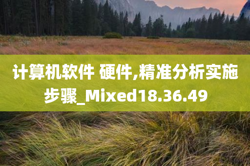 计算机软件 硬件,精准分析实施步骤_Mixed18.36.49