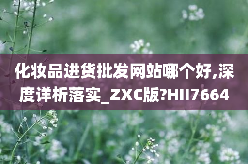 化妆品进货批发网站哪个好,深度详析落实_ZXC版?HII7664