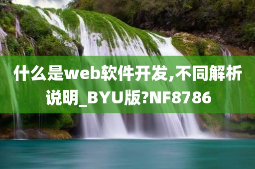 什么是web软件开发,不同解析说明_BYU版?NF8786