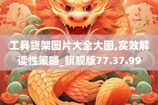 工具货架图片大全大图,实效解读性策略_旗舰版77.37.99