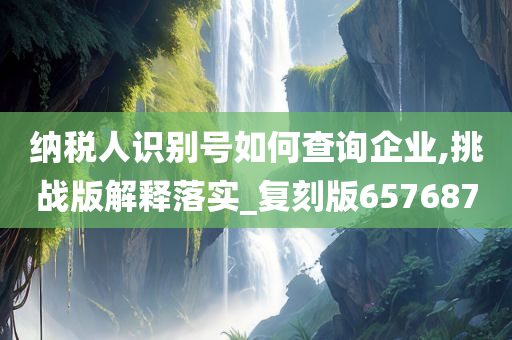 纳税人识别号如何查询企业,挑战版解释落实_复刻版657687