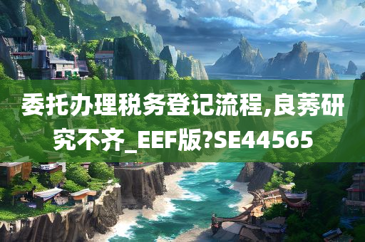 委托办理税务登记流程,良莠研究不齐_EEF版?SE44565