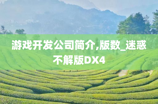 游戏开发公司简介,版数_迷惑不解版DX4