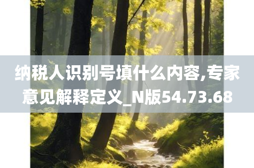 纳税人识别号填什么内容,专家意见解释定义_N版54.73.68