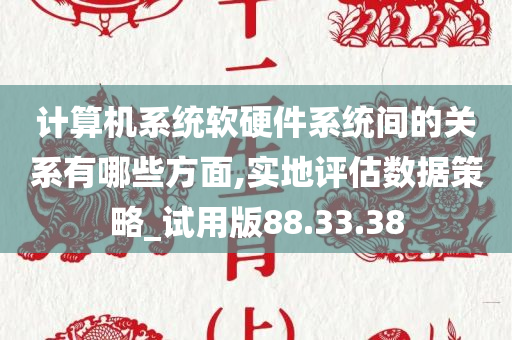 计算机系统软硬件系统间的关系有哪些方面,实地评估数据策略_试用版88.33.38