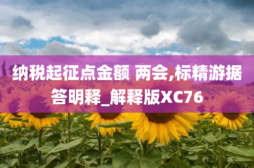 纳税起征点金额 两会,标精游据答明释_解释版XC76