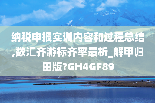 纳税申报实训内容和过程总结,数汇齐游标齐率最析_解甲归田版?GH4GF89