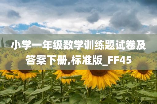 小学一年级数学训练题试卷及答案下册,标准版_FF45