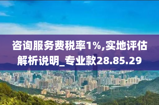 咨询服务费税率1%,实地评估解析说明_专业款28.85.29