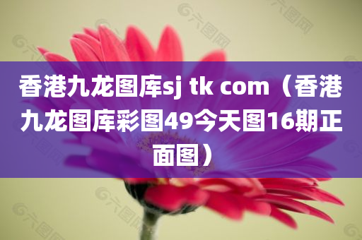 香港九龙图库sj tk com（香港九龙图库彩图49今天图16期正面图）