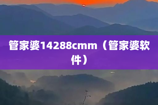 管家婆14288cmm（管家婆软件）