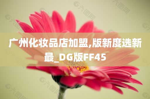 广州化妆品店加盟,版新度选新最_DG版FF45