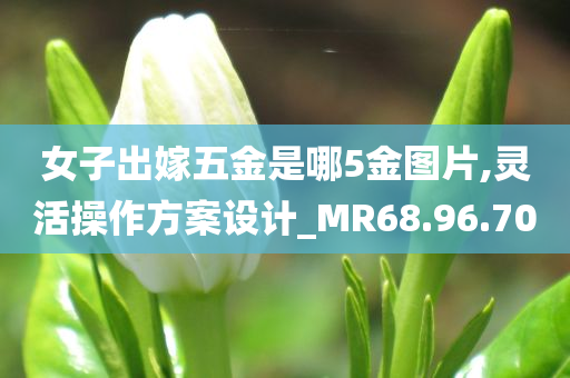 女子出嫁五金是哪5金图片,灵活操作方案设计_MR68.96.70