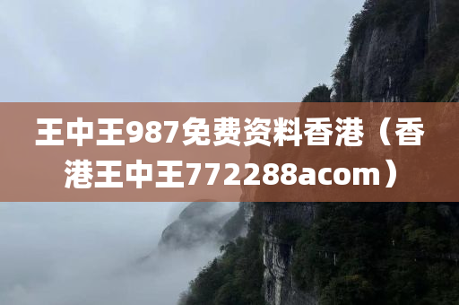 王中王987免费资料香港（香港王中王772288acom）