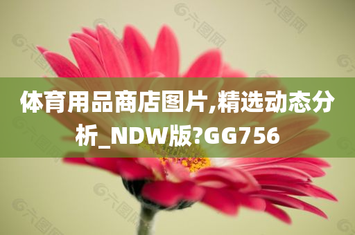 体育用品商店图片,精选动态分析_NDW版?GG756