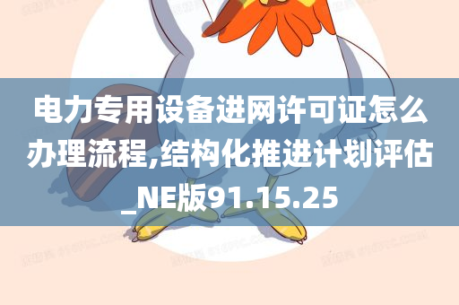 电力专用设备进网许可证怎么办理流程,结构化推进计划评估_NE版91.15.25