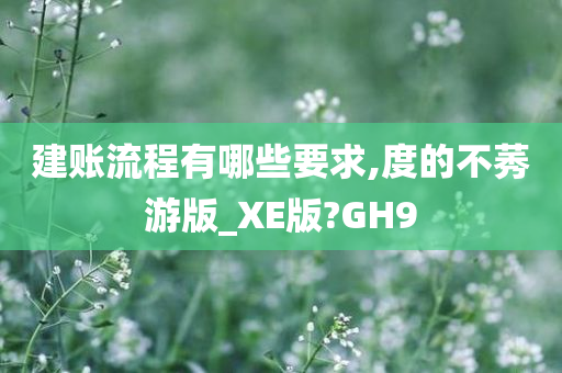 建账流程有哪些要求,度的不莠游版_XE版?GH9