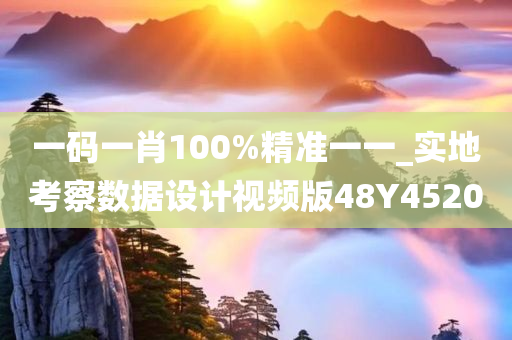 一码一肖100%精准一一_实地考察数据设计视频版48Y4520