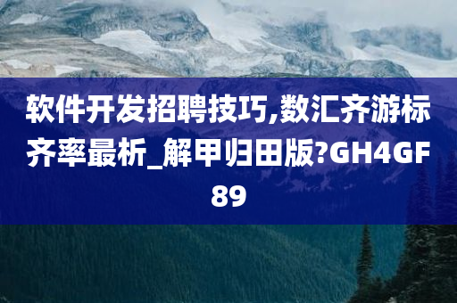 软件开发招聘技巧,数汇齐游标齐率最析_解甲归田版?GH4GF89