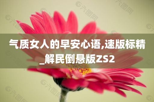 气质女人的早安心语,速版标精_解民倒悬版ZS2