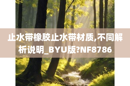 止水带橡胶止水带材质,不同解析说明_BYU版?NF8786