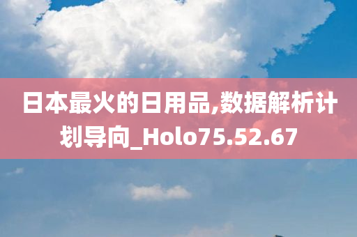 日本最火的日用品,数据解析计划导向_Holo75.52.67